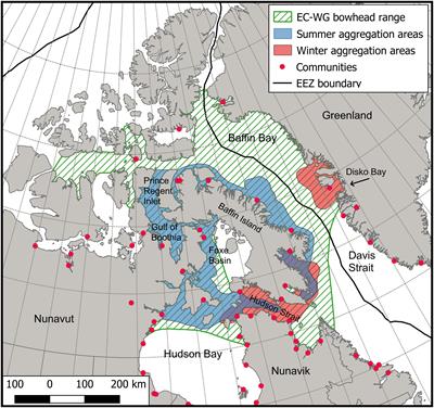 Developing a Precautionary Management Approach for the Eastern Canada-West Greenland Population of Bowhead Whales (Balaena mysticetus)